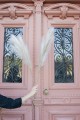 pampas grass